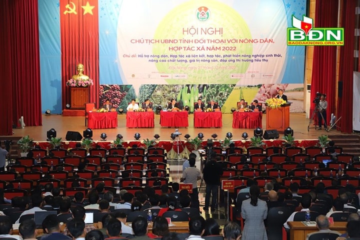 Tsuv tinhx UBND xênhr têz lus trâu nênhs kôngz, Hơx tac xar shông 2022