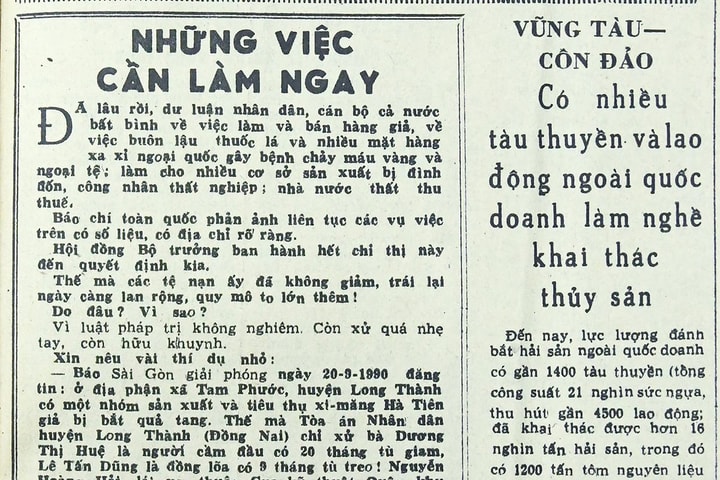 Những việc cần làm ngay (bài 31)