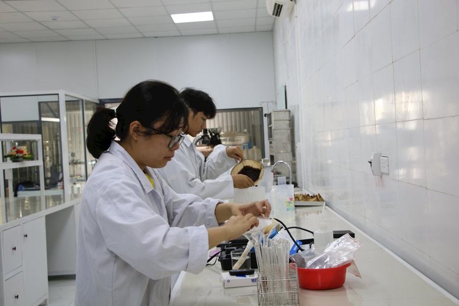 Doanh nghiệp Đắk Nông nỗ lực thu hút nhân lực chất lượng cao