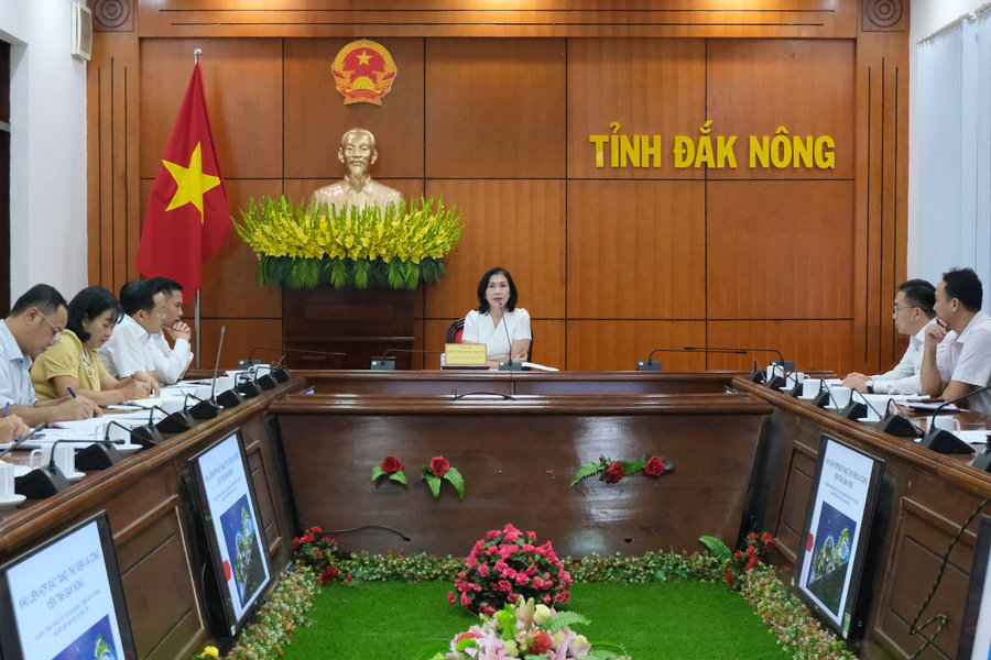 Xây dựng phương án vận hành Khu liên hợp bảo tàng, thư viện, công viên tỉnh và Tượng đài N’Trang Lơng