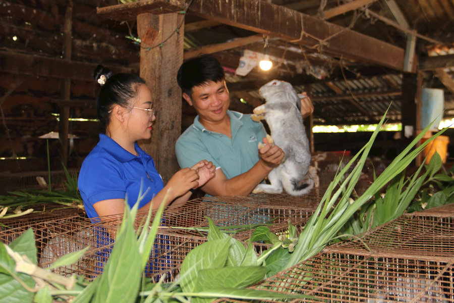 Đắk Nông trợ lực cho thanh niên khởi nghiệp