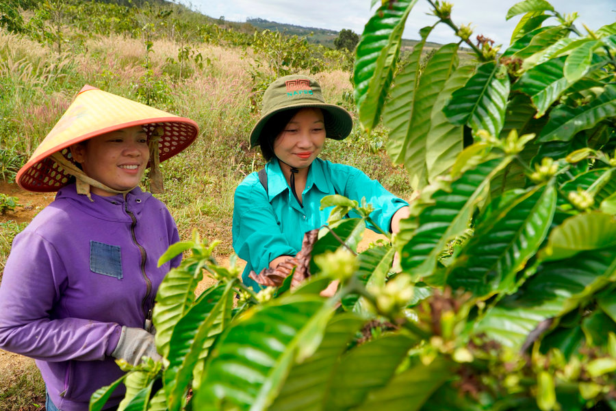 Nguồn lực giúp phụ nữ Đắk Nông phát triển kinh tế