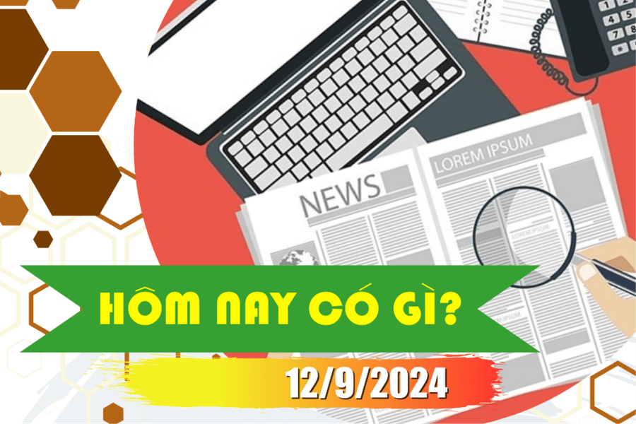 Hôm nay có gì? Ngày 12/9/2024