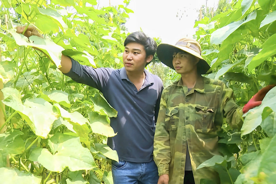 Hành trình khởi nghiệp của CLB Trang trại trẻ Gia Nghĩa