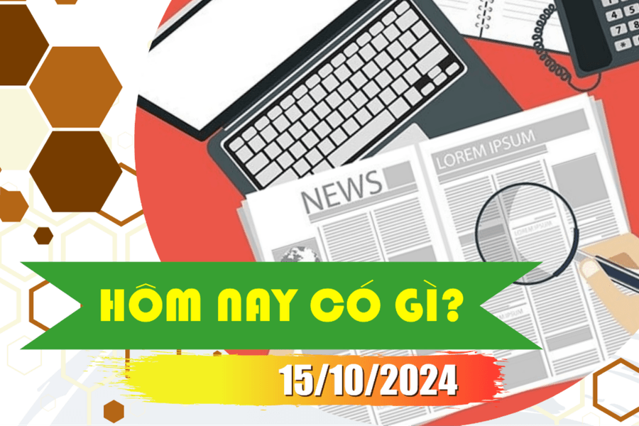 Hôm nay có gì? Ngày 15/10/2024