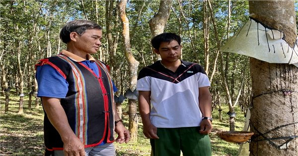 Đắk Tô (Kon Tum): Tăng cường công tác tuyên truyền, nâng cao nhận thức đồng bào DTTS trong công tác giảm nghèo