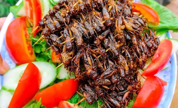 Top món ăn đặc sản ở Kon Tum, hương vị lạ miệng