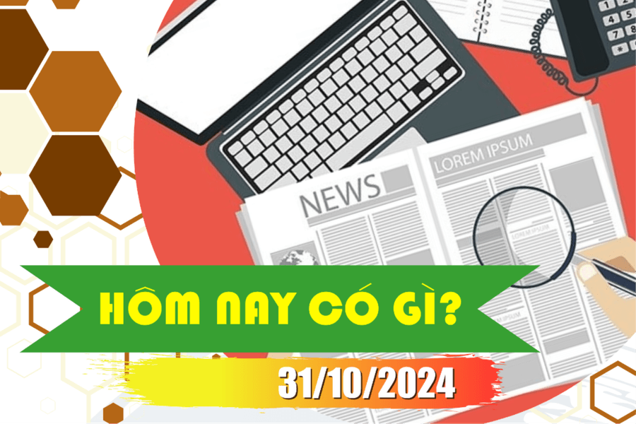 Hôm nay có gì? Ngày 31/10/2024
