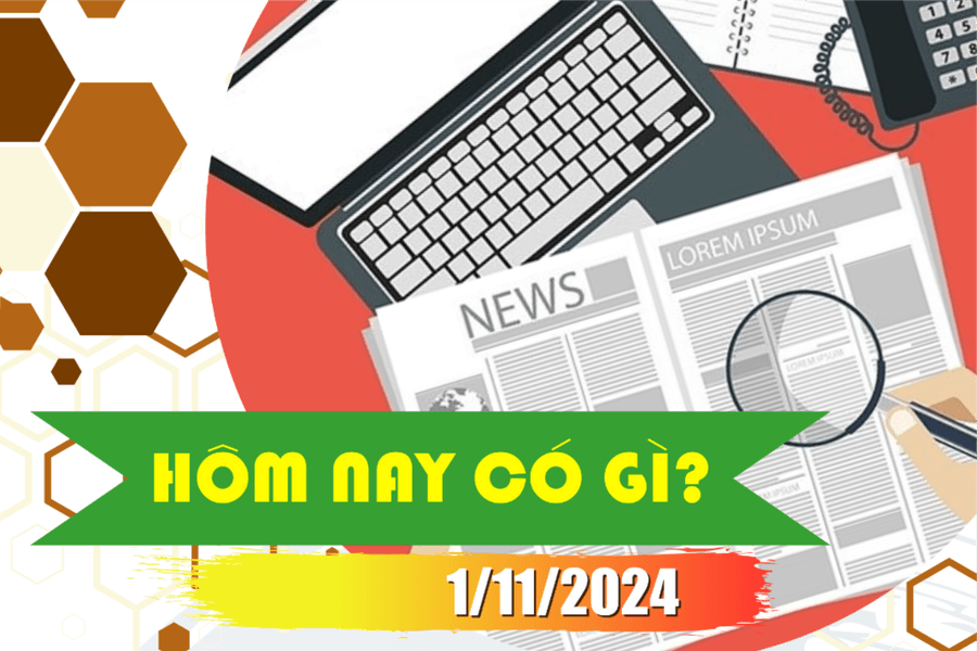 Hôm nay có gì? Ngày 1/11/2024