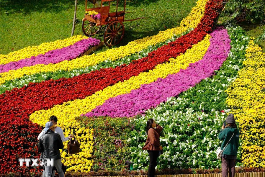 “Bản giao hưởng sắc màu” Festival Hoa Đà Lạt 2024 hấp dẫn với nhiều hoạt động