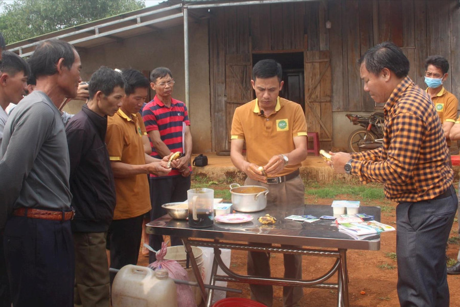 Tự sản xuất phân hữu cơ – Đỡ lo phân bón dởm