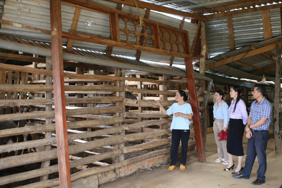 Đắk Glong phấn đấu hoàn thành cao nhất các mục tiêu kinh tế