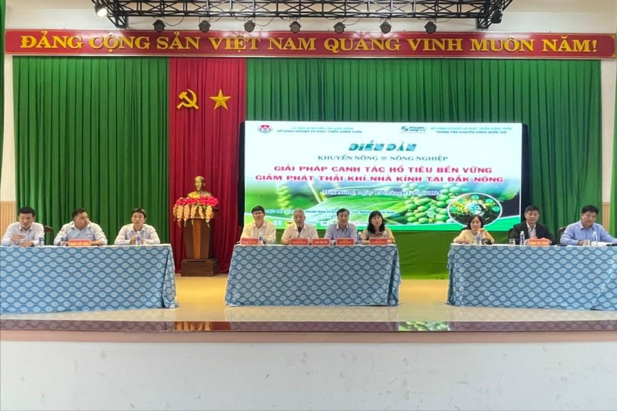Đắk Nông bàn giải pháp trồng hồ tiêu giảm phát thải khí nhà kính