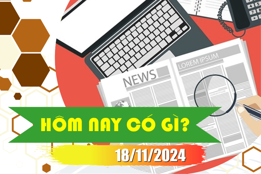Hôm nay có gì? Ngày 18/11/2024