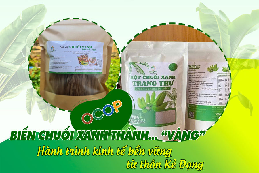 Biến chuối xanh thành… “vàng”: Hành trình kinh tế bền vững từ thôn Kẻ Đọng