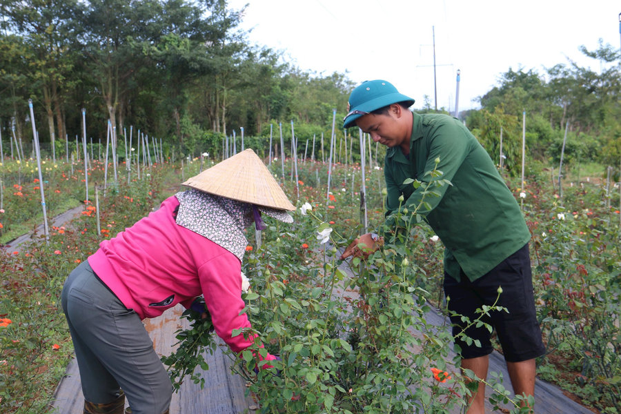 Thêm trợ lực để thanh niên Đắk R'lấp khởi nghiệp