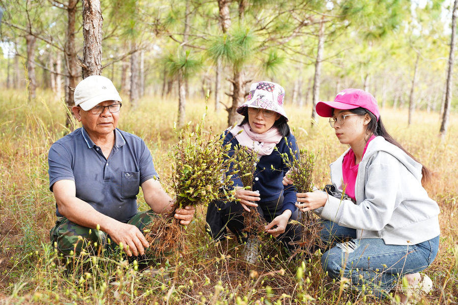 Thuốc nam ở tỉnh cực Nam Tây Nguyên
