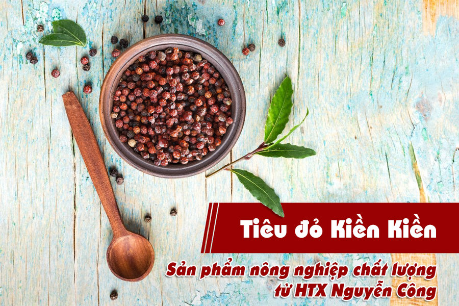 Tiêu đỏ Kiền Kiền: Sản phẩm nông nghiệp chất lượng từ HTX Nguyễn Công