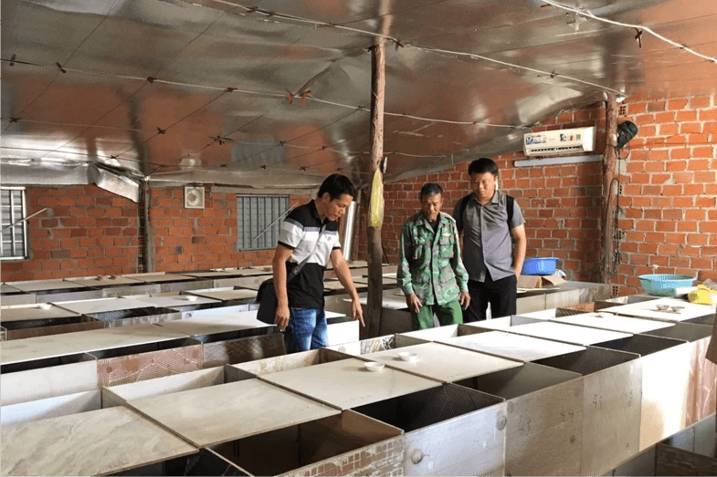 Gia Lai: Nhiều mô hình giảm nghèo hiệu quả tại huyện Mang Yang