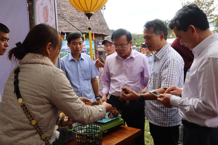 Kon Tum: Sẵn sàng cho Hội thảo mở ra cơ hội nâng tầm giá trị sâm Ngọc Linh