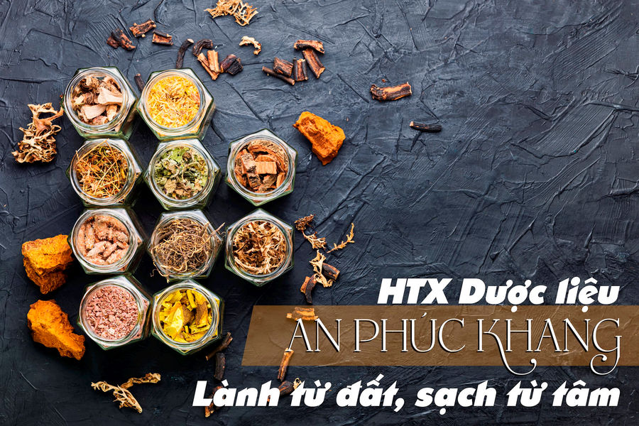 HTX Dược liệu An Phúc Khang: Lành từ đất, sạch từ tâm