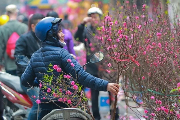 Diễn biến thời tiết trên cả nước dịp Giáng sinh 2024 và Tết dương lịch năm 2025