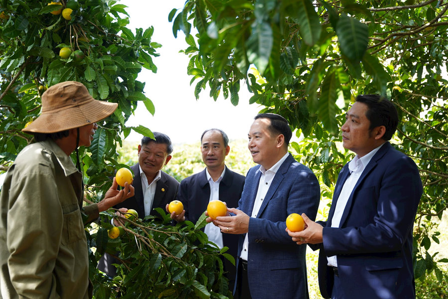 Phát huy sức mạnh đoàn kết, xây dựng Đắk Nông giàu đẹp
