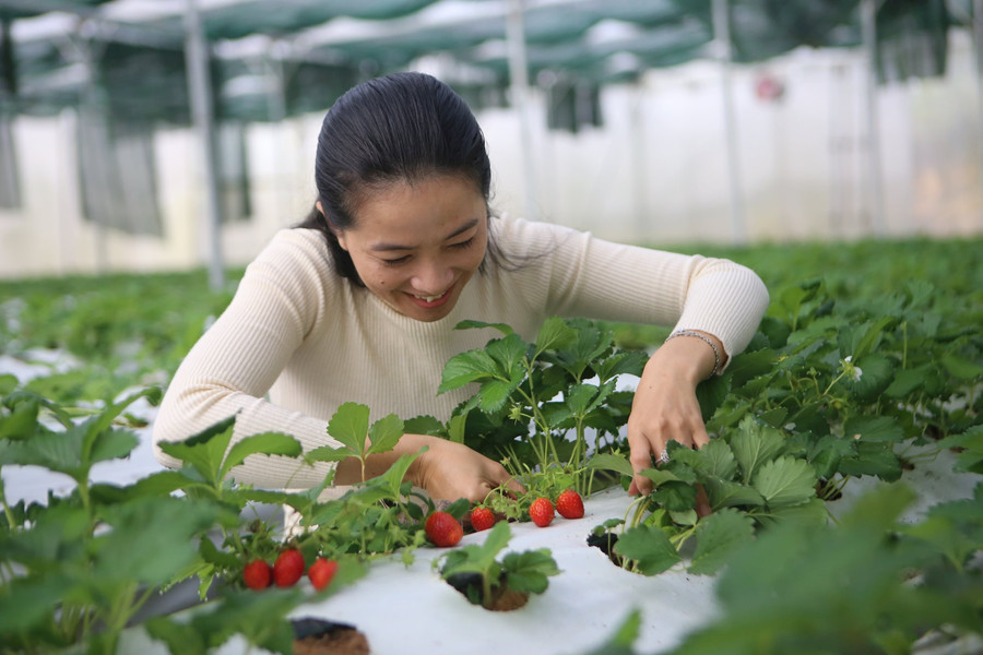 Nữ doanh nhân Đắk Nông đi đầu về kinh tế xanh