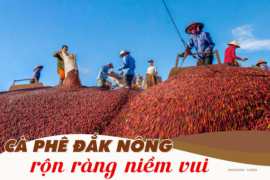 Cà phê Đắk Nông rộn ràng niềm vui