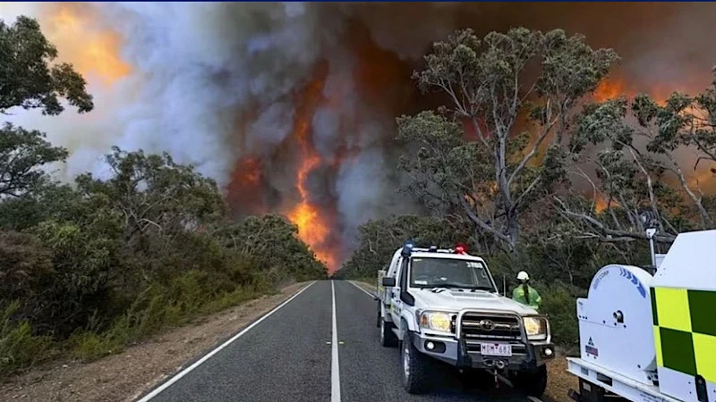 Thảm họa cháy rừng ở Australia: 74.000ha rừng bị thiêu rụi
