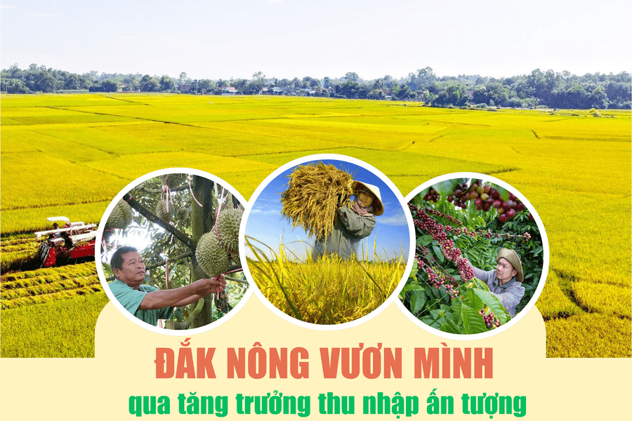 Đắk Nông vươn mình qua tăng trưởng thu nhập ấn tượng