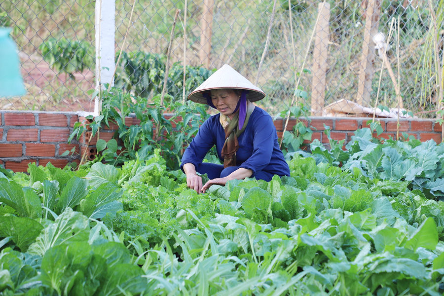 Tết và xu hướng xanh với thực phẩm