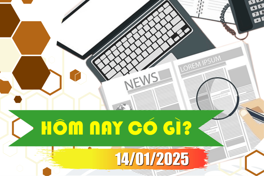Hôm nay có gì? Ngày 14/01/2025