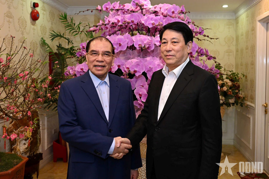 Chủ tịch nước Lương Cường thăm các đồng chí nguyên lãnh đạo Đảng, Nhà nước, thắp hương tưởng nhớ Tổng Bí thư Nguyễn Phú Trọng