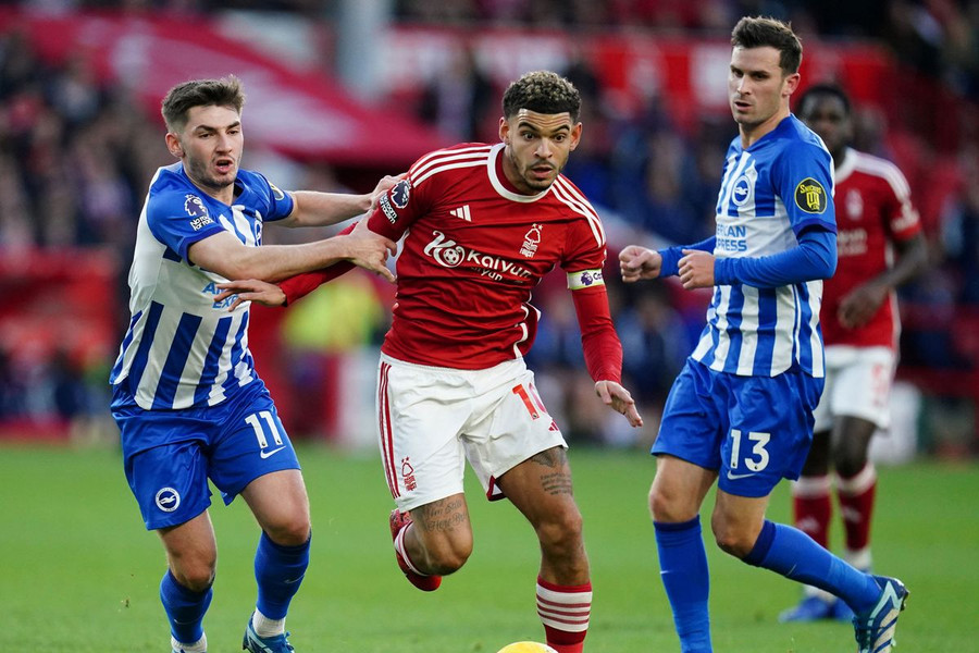 Nhận định, dự đoán Nottingham vs Brighton: Phút cuối định mệnh