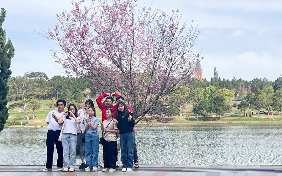 Lượng khách đến Đà Lạt dịp Tết Nguyên đán 2025 giảm