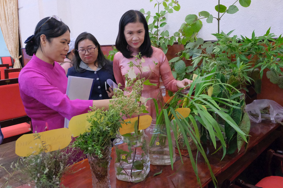 Đắk Nông phát triển ngành dược liệu thành một trong những trụ cột kinh tế