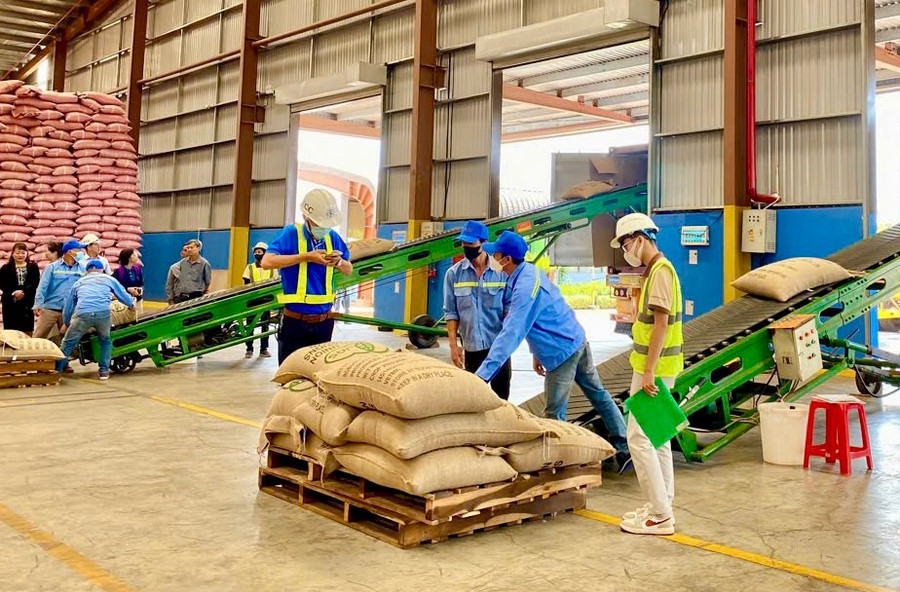 Gia Lai nỗ lực cải thiện môi trường kinh doanh, nâng cao năng lực cạnh tranh