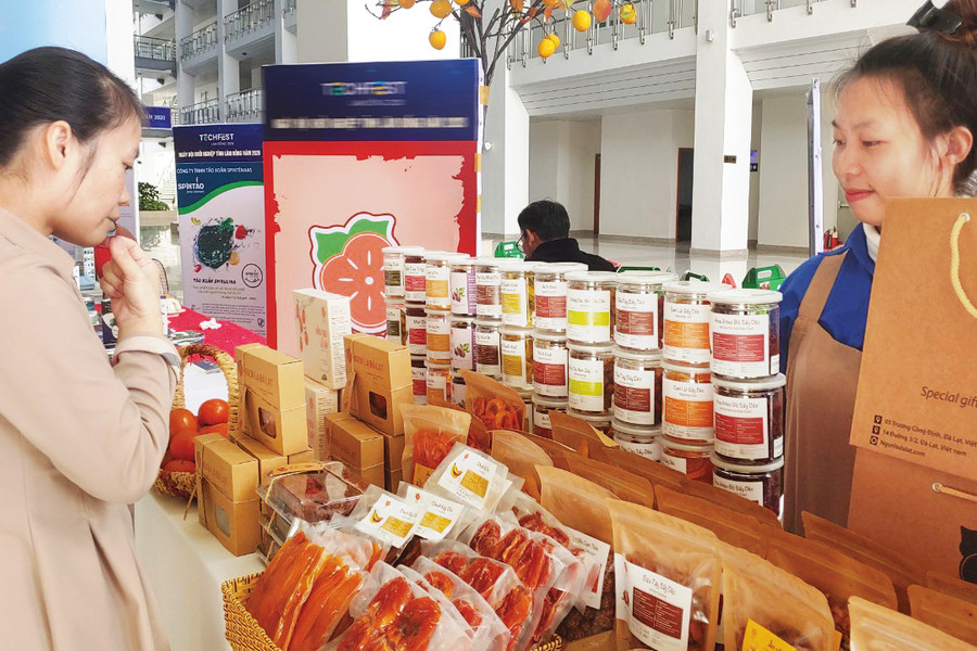 Hỗ trợ phát triển hệ sinh thái khởi nghiệp đổi mới sáng tạo