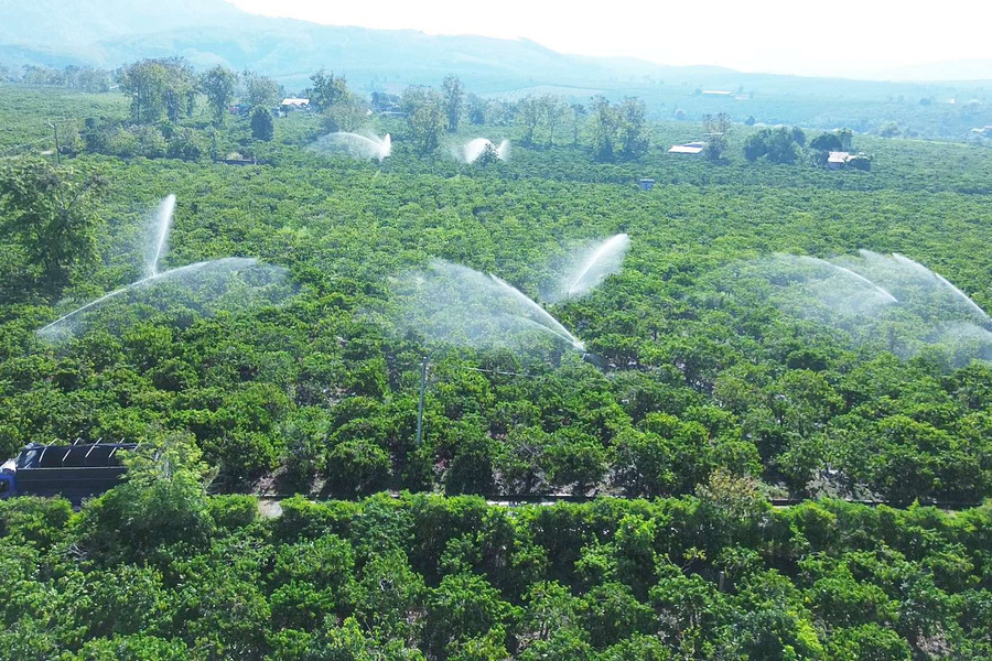 Kon Tum: Sản xuất thích ứng với biến đổi khí hậu