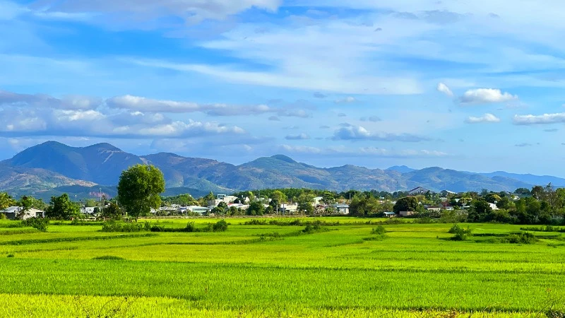 "Ngã ba Đông Dương": Giao điểm của tình hữu nghị