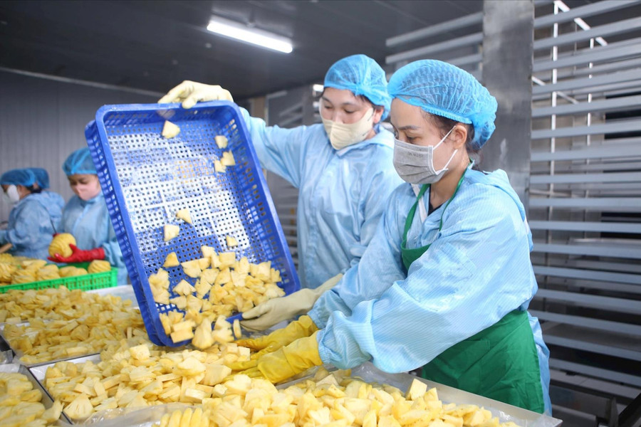 Tăng trưởng GRDP Đắk Nông đứng thứ 2 khu vực Tây Nguyên