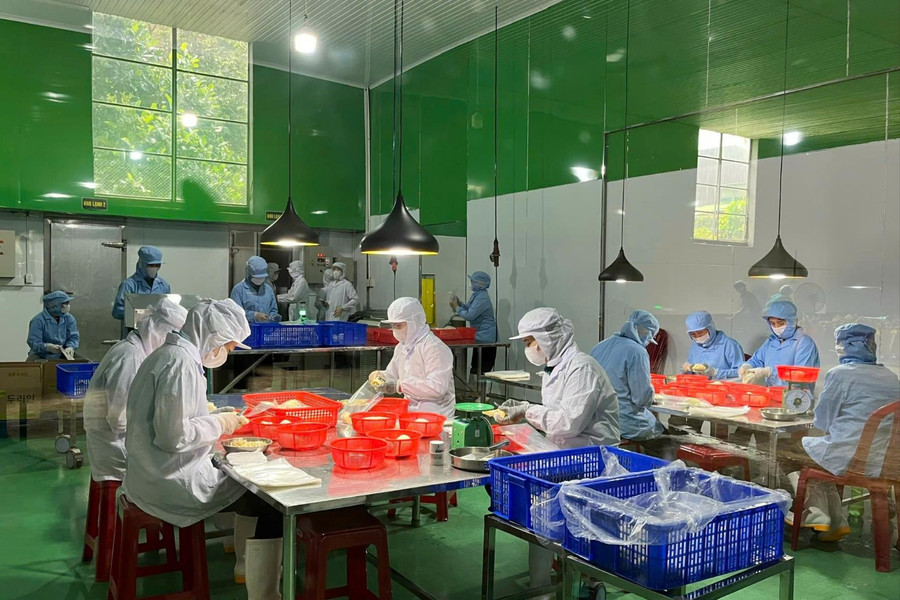 Gia Nghĩa duy trì tăng trưởng GRDP, bảo đảm an sinh xã hội