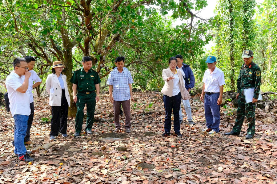 Khoanh vùng các khu vực bảo vệ di tích khảo cổ ở Đắk Nông