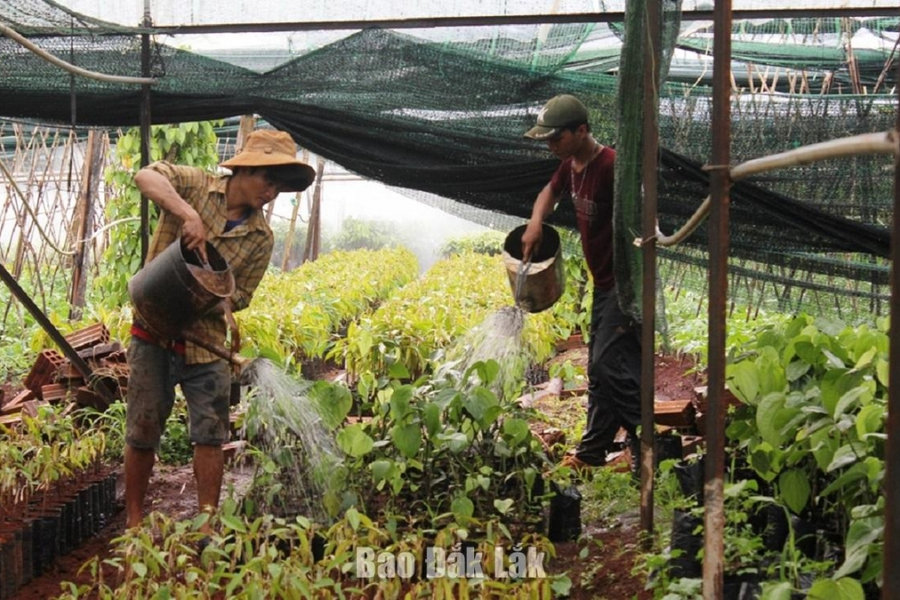 Không yêu cầu thay đổi thông tin Giấy chứng nhận đăng ký kinh doanh do thay đổi địa giới hành chính