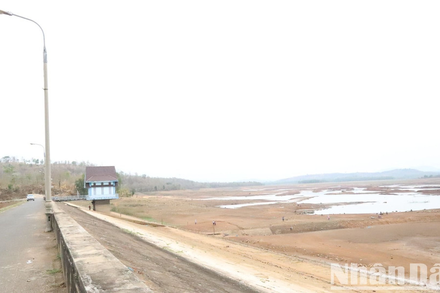 [Ảnh] Hồ thủy lợi lớn nhất tỉnh Đắk Lắk cạn trơ đáy