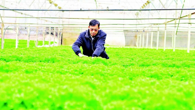Lâm Đồng đẩy mạnh chuyển đổi số nông nghiệp