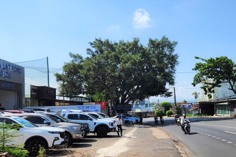 Đại lý kinh doanh xe ô tô trả lại vỉa hè sau phản ánh của Báo Lâm Đồng