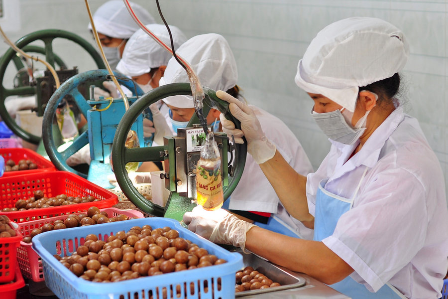 Di Linh: Đề nghị chuyển giao các nhãn hiệu tập thể về cấp sở quản lý tạm thời