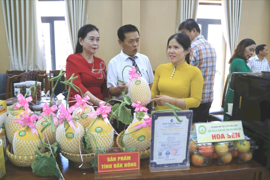 Đắk Nông liên kết, nâng tầm sản phẩm kinh tế tập thể